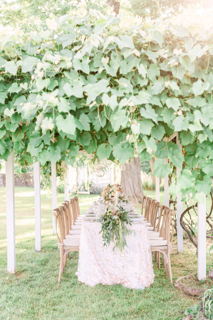 a long table sits under a pergola covered in grapevines at Windridge Estate