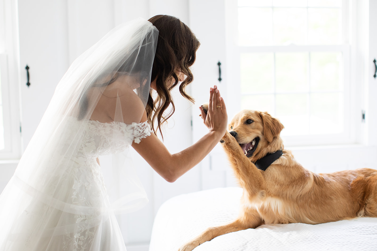 Dog Friendly Wedding Venues